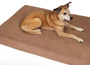 Large Dog Bed for Larger Breeds - Example 1