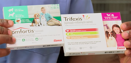 dog flea medicines dog flea pills