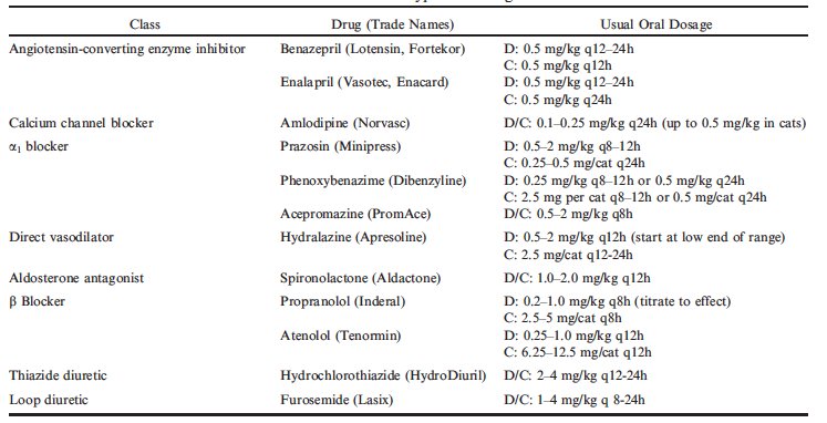 table of dog high blood pressure medications