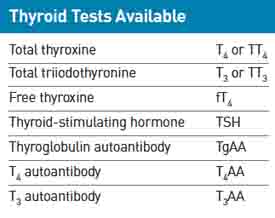 Dog Hypothyroidism Tests Dog Hypothyroidism Tests