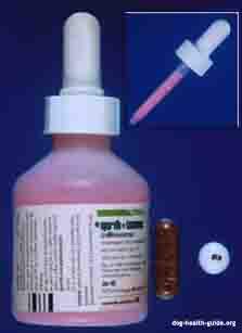 Dog Medicine Guide Dog Health Guide
