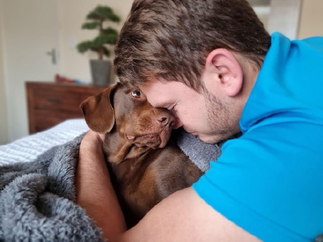 dog providing comfort dog providing comfort