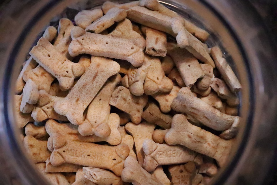 cbd dog treats cbd dog treats