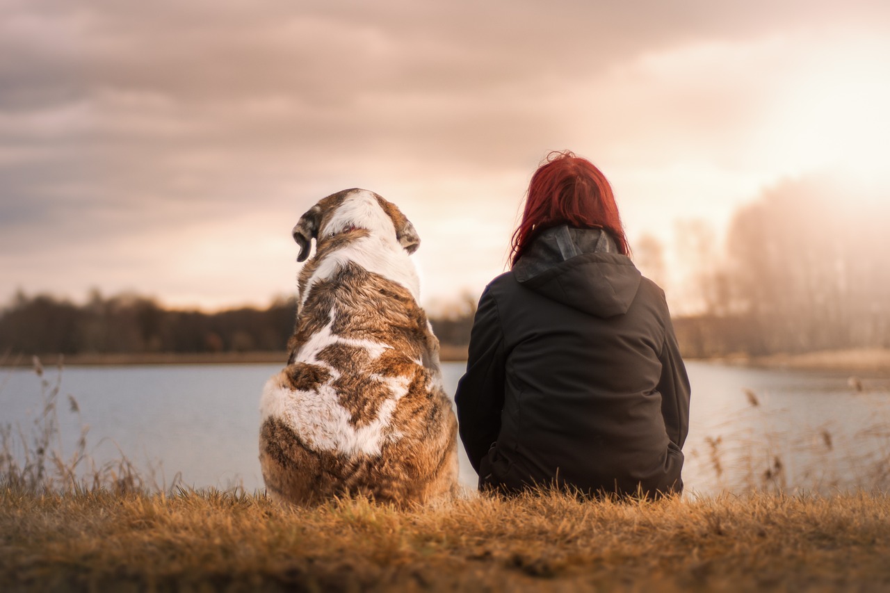 dog and owners looking at sunrise