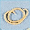 Canine Parasites: Roundworm